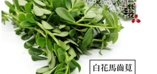 釋迦 ,台東好物 ,台東網路商城